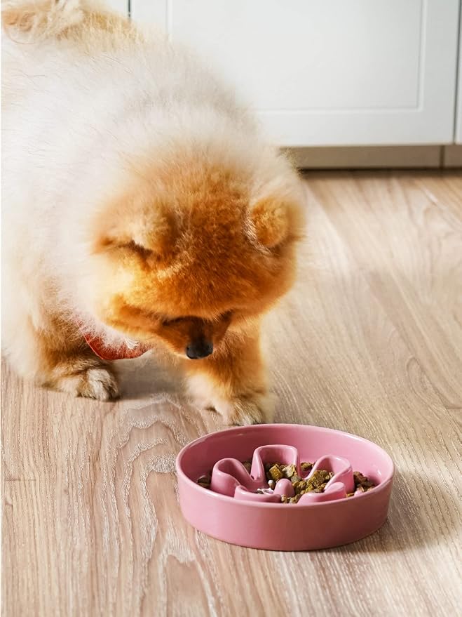 LE TAUCI Ceramic Slow Feeder Dog Bowls Small Breed, 0.6 Cups Dog Food Dish for Fast Eaters, Puzzle Bowl for Small Dogs and Cats,Pink Bloom - Image 2