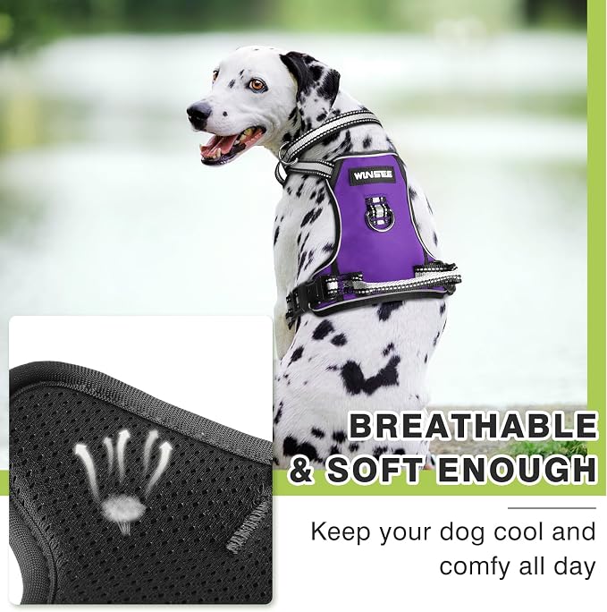 Dog Harness No Pull, Pet Harnesses with Dog Collar, Adjustable Reflective Oxford Outdoor Vest, Front/Back Leash Clips for Small, Medium, Large, Extra Large Dogs, Easy Control Handle for Walking - Image 8
