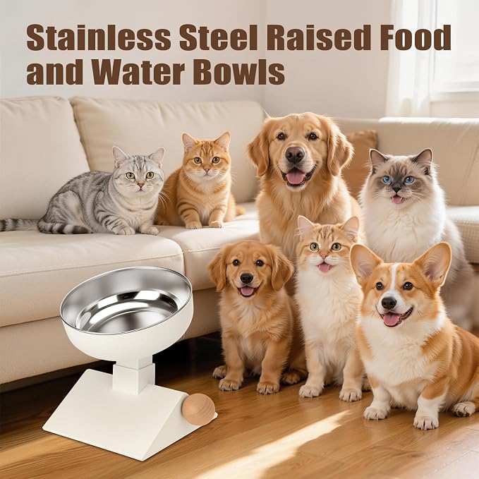 Elevated Cat Bowl, 4 Heights Stainless Steel Raised Stand | 18oz, adjustable height, whisker friendly, neck protect, food water bowls, indoor cats puppy, non slip, dishwasher - Image 9