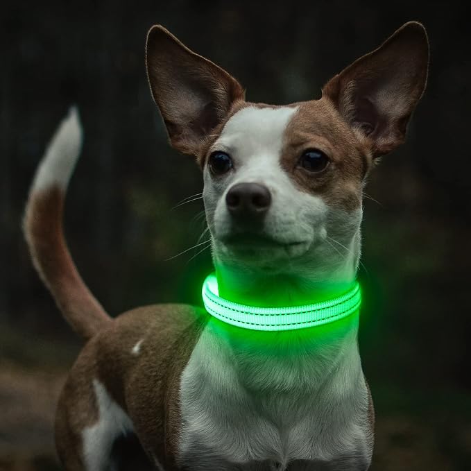 Light Up Dog Collar for Small Dogs - LED Dog Collar Rechargeable Adjustable Puppy Collars, Glow in The Dark Dog Lights for Night Walking（X-Small, Green） - Image 8