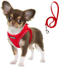 Fida Comfy Dog Harness with Leash, Soft Puppy Vest Escape Proof, Breathable Lightweight Soft Mesh, Adjustable Reflective Step-in Harness for Cat & Extra-Small Pet (XS, Red) by Fida