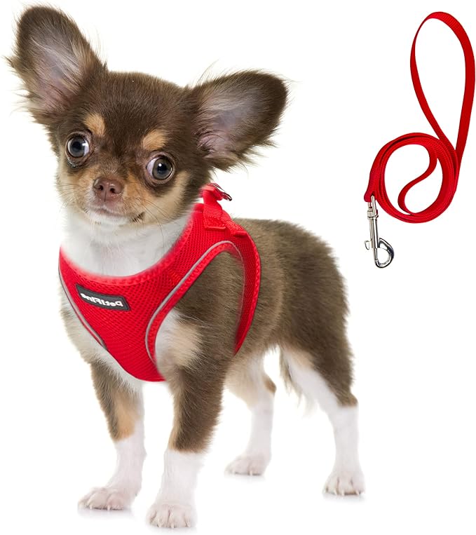 Fida Comfy Dog Harness with Leash, Soft Puppy Vest Escape Proof, Breathable Lightweight Soft Mesh, Adjustable Reflective Step-in Harness for Cat & Extra-Small Pet (XS, Red) by Fida