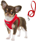 Fida Comfy Dog Harness with Leash, Soft Puppy Vest Escape Proof, Breathable Lightweight Soft Mesh, Adjustable Reflective Step-in Harness for Small Pet Walking (S, Red) by Fida