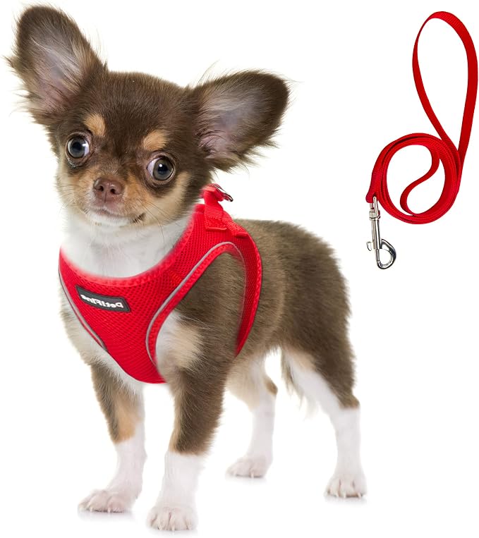 Fida Comfy Dog Harness with Leash, Soft Puppy Vest Escape Proof, Breathable Lightweight Soft Mesh, Adjustable Reflective Step-in Harness for Small Pet Walking (S, Red) by Fida