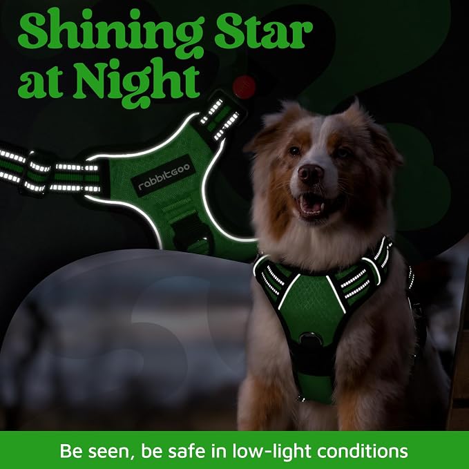 rabbitgoo Dog Harness Small Sized, No Pull 3 Buckles Easy On & Off | Soft Padded, Walking with Control Handle, Adjustable and Reflective, Green, Small - Image 7