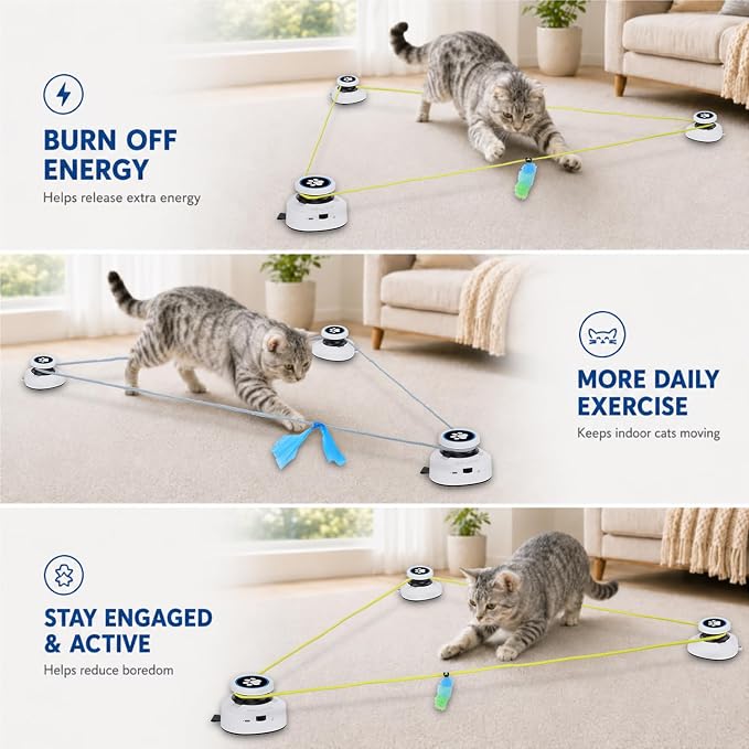 Automatic Cat Toy for Indoor Cats, Interactive Cat Chase Toy with Moving Feather Lure, DIY Floor Route Kit, Rechargeable Self-Play Cat Exercise Toy - Image 4