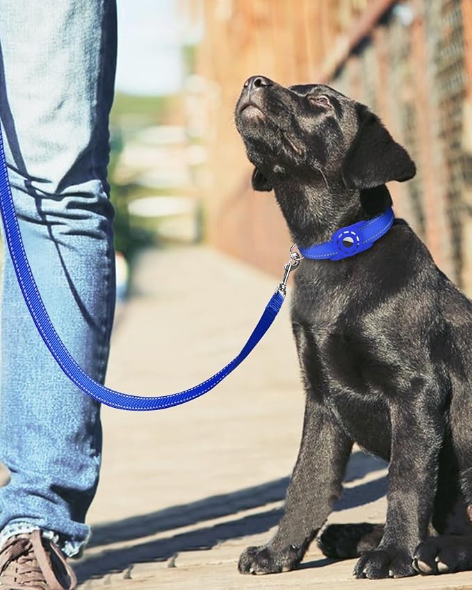 4FT Reflective Dog Leash, Padded Handle for Small Medium Dogs | Comfortable Nylon, Soft Handle Cushioning, Reflective Safety at Night, Training Leash for Park & Hiking (3/4in, Royal Blue) - Image 6