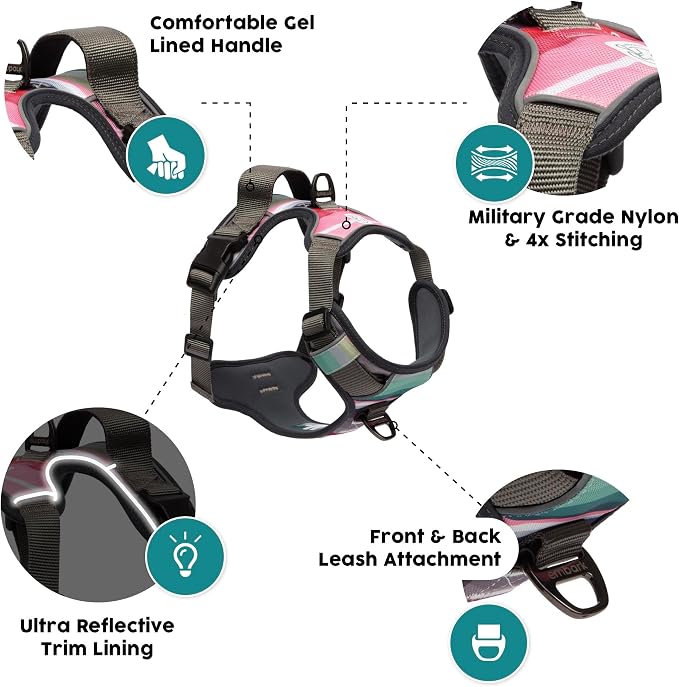 Embark No Pull Dog Harness, Reflective Adjustable Training Vest, No Choke | Adjustable straps fit all dog breeds with sturdy hooks; 360° reflective trim, soft padded Harness Design for All Dogs - Image 3