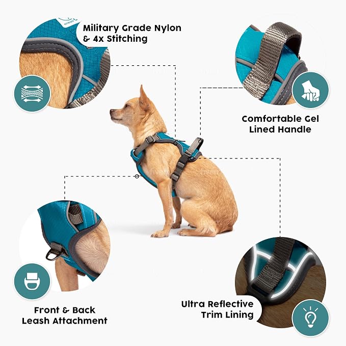 Embark No Pull Dog Harness, Reflective Adjustable Training Vest, No Choke | Adjustable straps fit all dog breeds with sturdy hooks; 360° reflective trim, soft padded Harness Design for All Dogs - Image 3