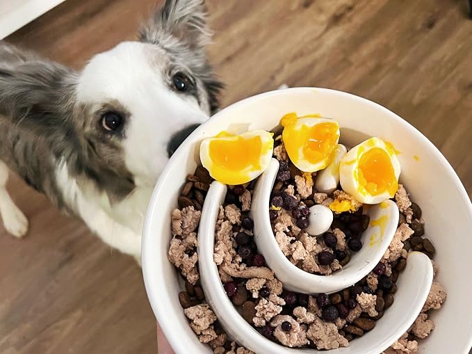 Slow Feeder Dog Bowl - 1.5 Cups Ceramic Puzzle Feeder for Small & Medium Breeds, Maze Design Bowl for Puppy & Fast Eaters, White Pet Dish to Control Eating Speed - Image 2
