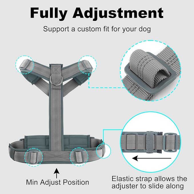 Plutus Pet No Pull Dog Harness, Adjustable Nylon Harness with Soft Padding | Reflective with Front Clip, Heavy Duty for Training and Walking, for Small Medium Large Dogs, Gray, L - Image 8