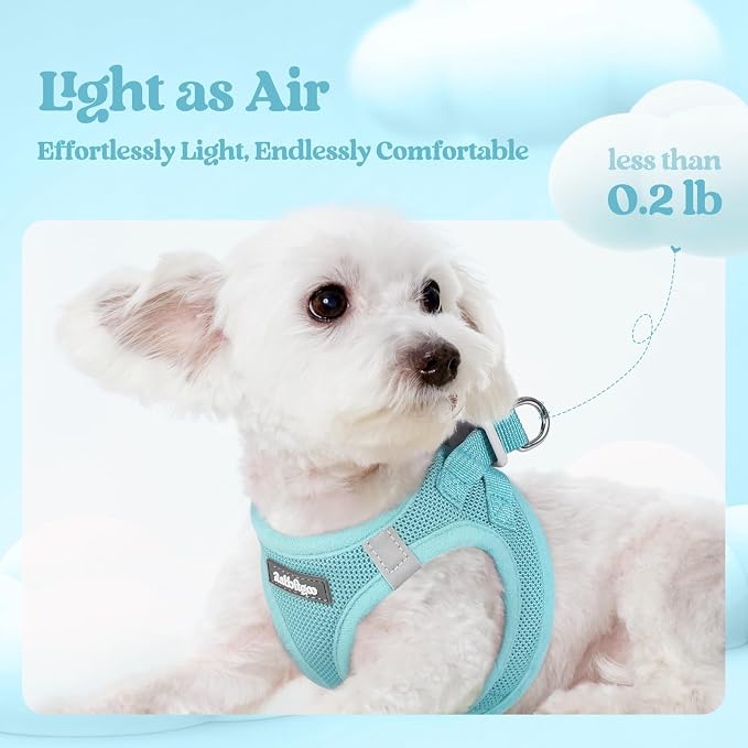 rabbitgoo Dog Harness Small Sized and Leash Set, Step-in Puppy Pet Vest | Light, Soft, Breathable Air Mesh, Easy on and Remove with Hook & Loop, Secure Reflective for Walking, Mint Blue XS - Image 4