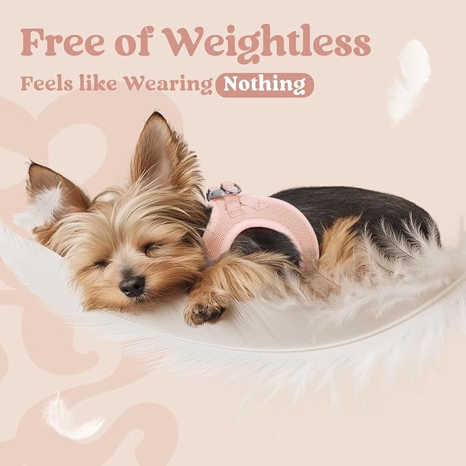 rabbitgoo Step-in Small Dog Harness, Puppy Vest for Small Medium Sized Pet | Easy Put on and off, Lightweight, Soft, Breathable Quick-Dry Air Mesh for Comfortable Secure Walking, Pink XL - Image 4