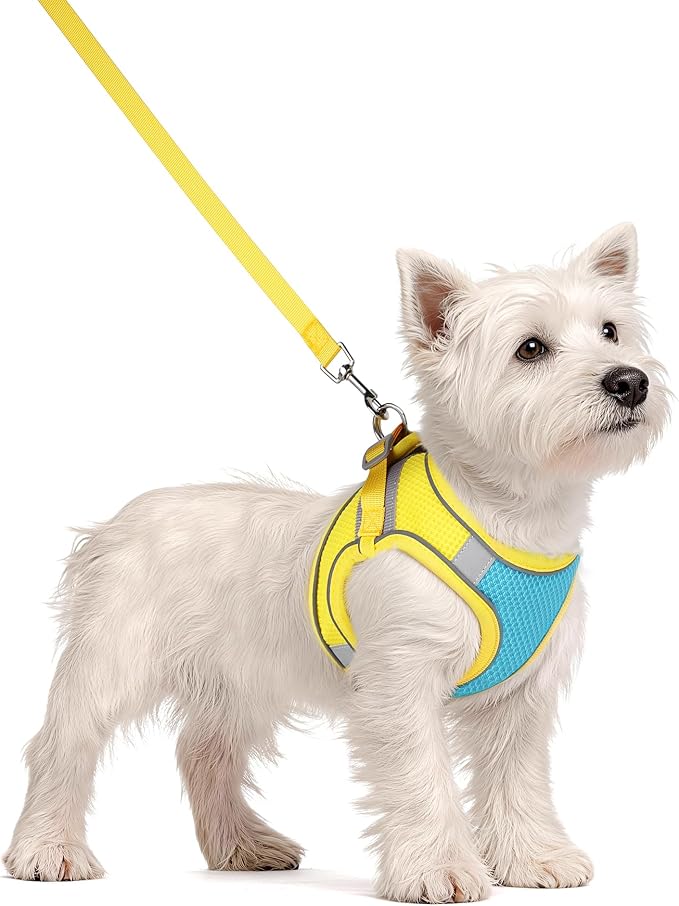 Solmoony Dog Harness for Small Medium Dogs No Pull, Puppy Harness and Leash Set, Puppy Harness for Small Dogs, Step in Harness for Small Dogs, Small Dog Harness, mesh Dog Harness. (Blue Yellow, M) - Image 2