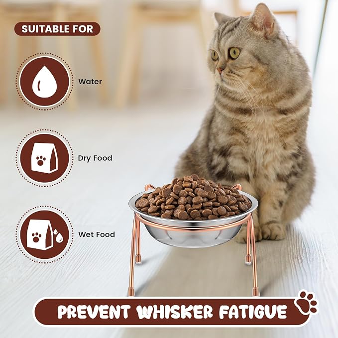 6 Sets Stainless Steel Elevated Cat Bowls 5.5 Inch Wide Raised Cat Bowls with Metal Stand Stress Free Elevated Shallow Water Dish Indoor Kitten Feeding Dish to Prevent Fatigue, 12 oz - Image 6