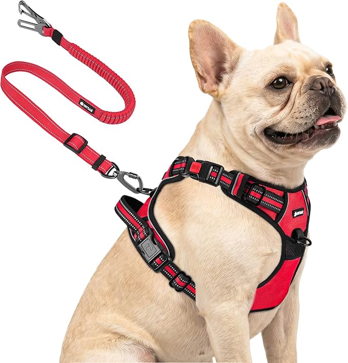 Joytale No Pull Dog Harness & Seat Belt, Easy On 3-Buckle, S, Red | Front Clip Reduces Pulling, Escape-Resistant Design, Adjustable Fit, Soft Padding for Comfort, Secure Tether for Safer Travel by Joytale