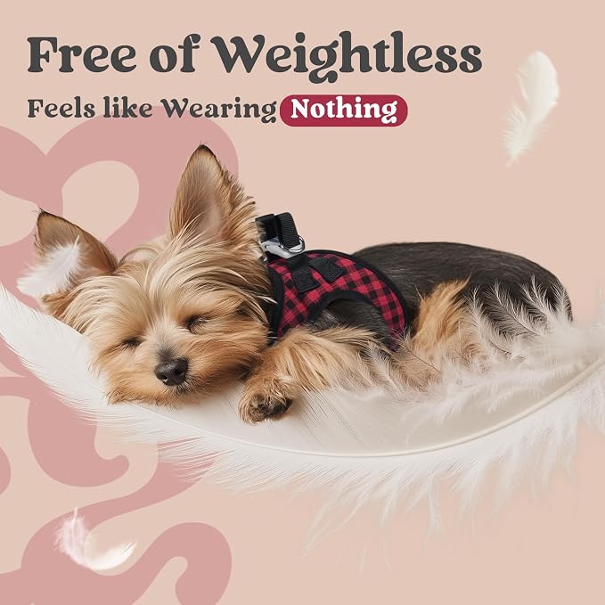 rabbitgoo Step-in Small Dog Harness, Puppy Vest for Small Sized Pet | Easy Put on and off, Lightweight, Soft, Breathable Quick-Dry Air Mesh for Comfortable Secure Walking, Red Check M - Image 4