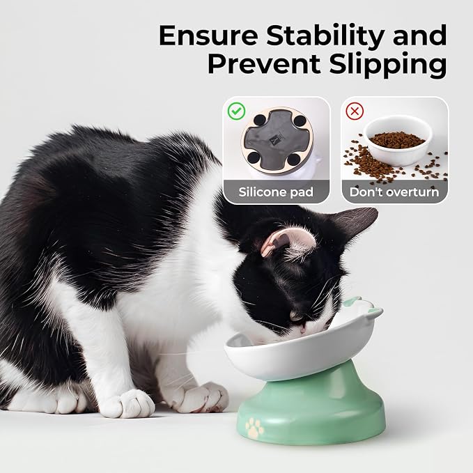 Y YHY Slow Feeder Cat Bowl, Ceramic Elevated Cat Bowl Tilted Design Slow Feeder for Dog and Cat for Dry and Wet Food, Green - Image 4