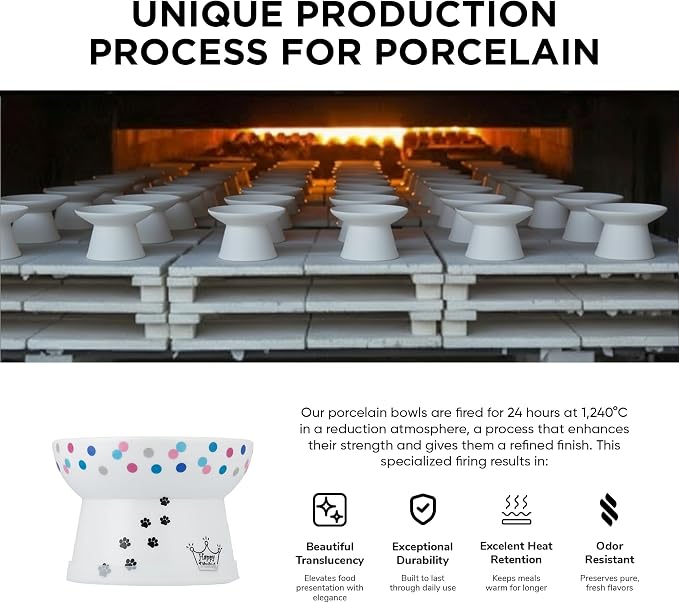 Necoichi Ceramic Raised Cat Food Bowl, 15° Tilted (Colorful Dots, Regular) - Image 6