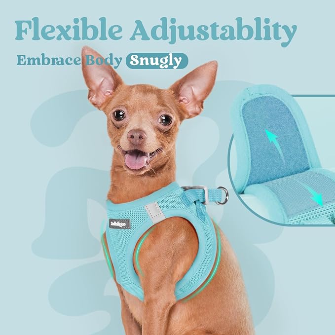 rabbitgoo Step-in Small Dog Harness, Puppy Vest for Small Sized Pet | Easy Put on and off, Lightweight, Soft, Breathable Quick-Dry Air Mesh for Comfortable Secure Walking, Mint Blue S - Image 8