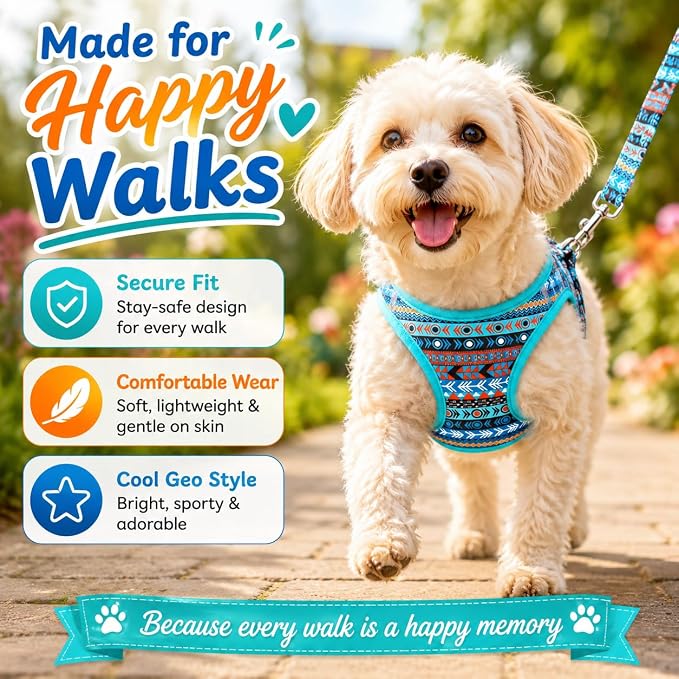 Step in Boy Dog Harness Leash Set- All Weather Reflective No-Pull Padded Mesh Vest Harness for Cats Puppy Extra-Small Small Medium Large Dogs - Mayan Mysteries - S - Image 4