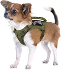 Tactical Small Dog Harness Tactical Puppy Vest with Rubber Handle K9 Military Adjustable Pet Cat Vest Harness for Outdoor Training XS Dog Harness (Green Harness) by FXGOING