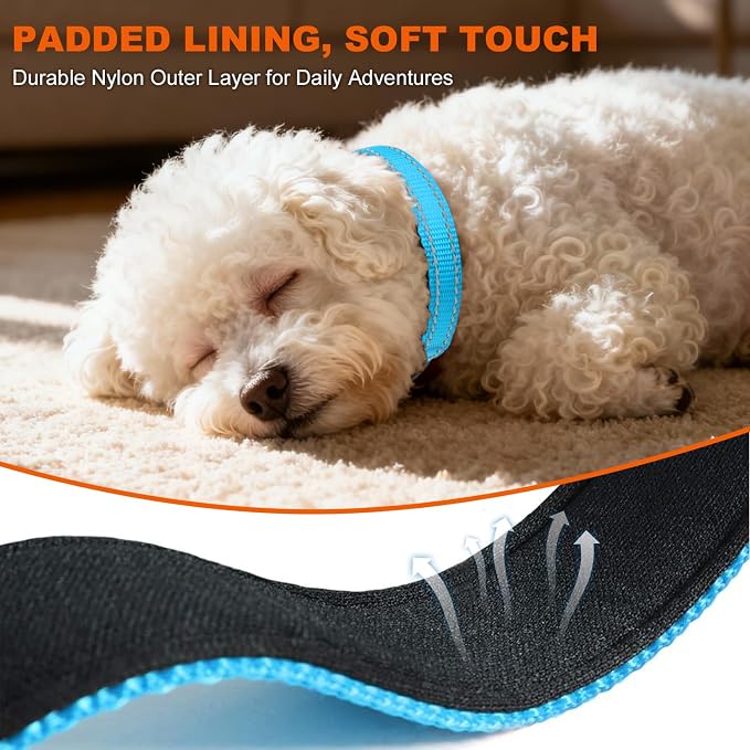 Taglory Reflective Dog Collar for Puppies, Gentle and Safe for Night Walks | Night-Walk Visibility, Soft Neck Cushioning, Adjustable 8-12 in, Locking Buckle, D-Ring for Leash and ID Tags - Image 4