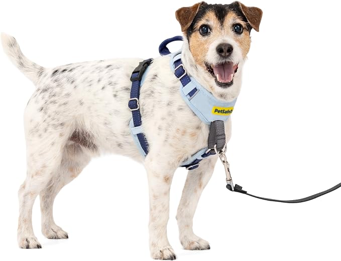 PetSafe Easy Walk Comfort No Pull Dog Harness, Blue, Small | Stops Pulling on First Use with Front Martingale Loop, Full-Body Padding, 5-Point Adjustable Fit by PetSafe