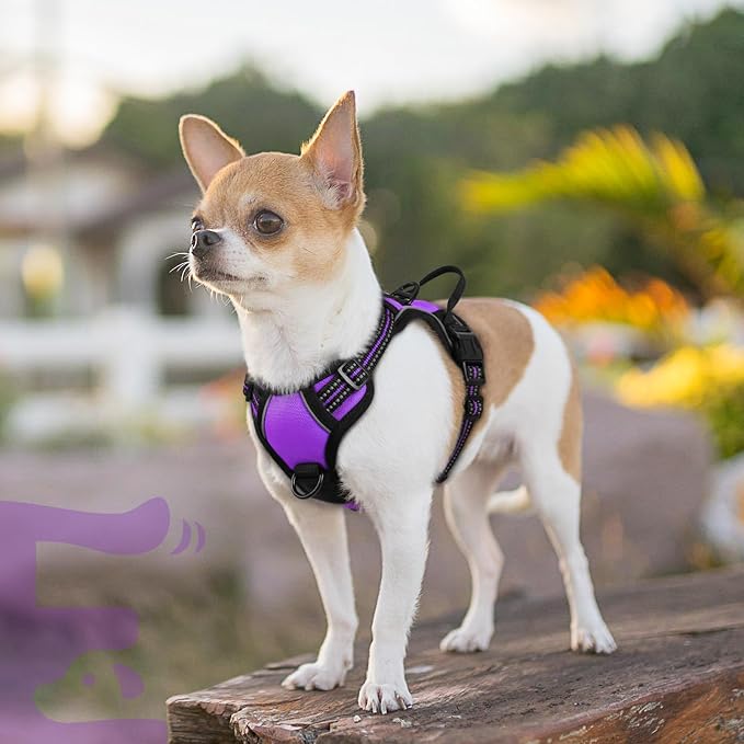 Eagloo Dog Harness for Small Dogs, No Pull Pet Vest with 2 Leash Clips | No Choke with Handle, Adjustable Comfort Fit, Reflective Strips, Easy Walking Control, Purple, X-Small - Image 9