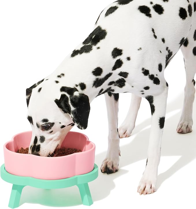 VETRESKA Elevated Dog Bowls Large, 64 oz Ceramic Raised Dog Bowl | Flower-Shaped Food Water Bowl with Bamboo Stand, Pet Feeding Dish Bowls for Medium/Large Dogs and Cats by VETRESKA