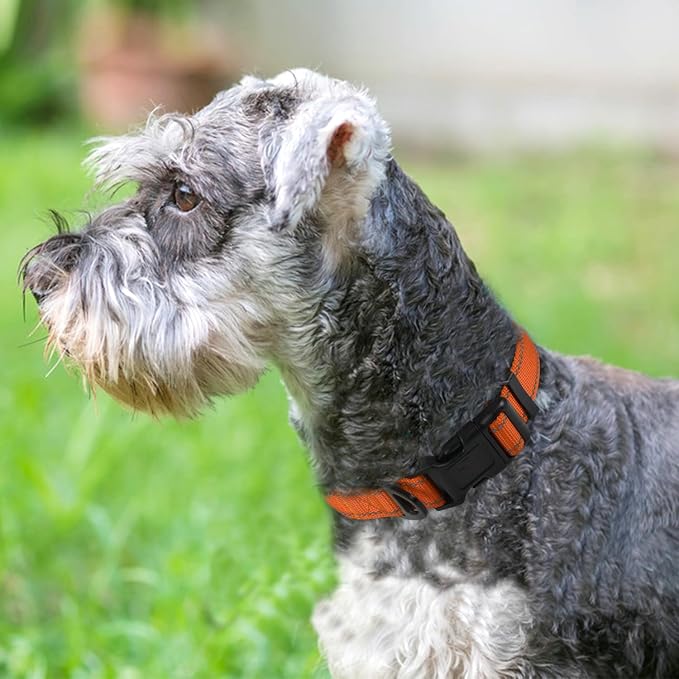 Joytale Reflective Dog Collar, Adjustable Neoprene Padded, Orange M | Breathable Nylon for Medium Dogs, No Chafing on Walks and Backyard Play, All-Day Comfort, Metal D-Ring, Night Safety - Image 2