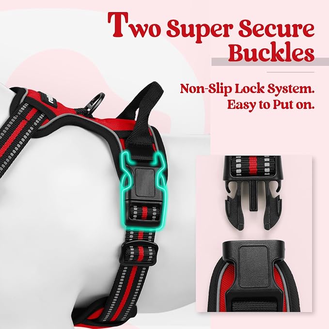 rabbitgoo Dog Harness, No Pull Medium Sized with 2 Leash Clips, Pet Vest | No Choke with Handle, Adjustable Soft Padded, Reflective, Easy Control for Walking, Red, Medium - Image 3