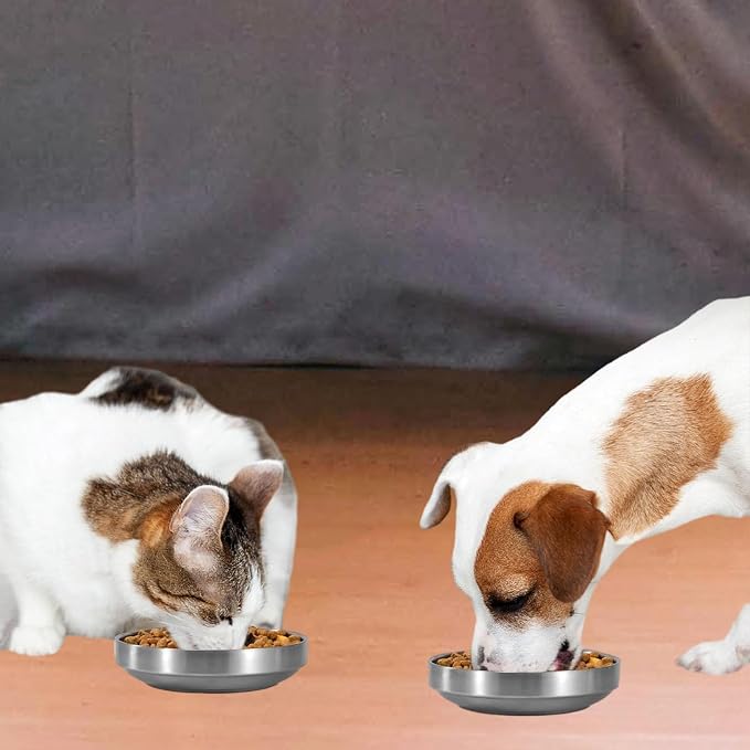 Whisker Fatigue Cat Bowl, Shallow Food Dish Stainless Steel for Cats, 2 Pcs | Wide Shallow Design Prevents Whisker Stress, Heavy Duty Metal Bowls for Indoor Cats and Small Dogs, Dishwasher Safe (Silver) - Image 6