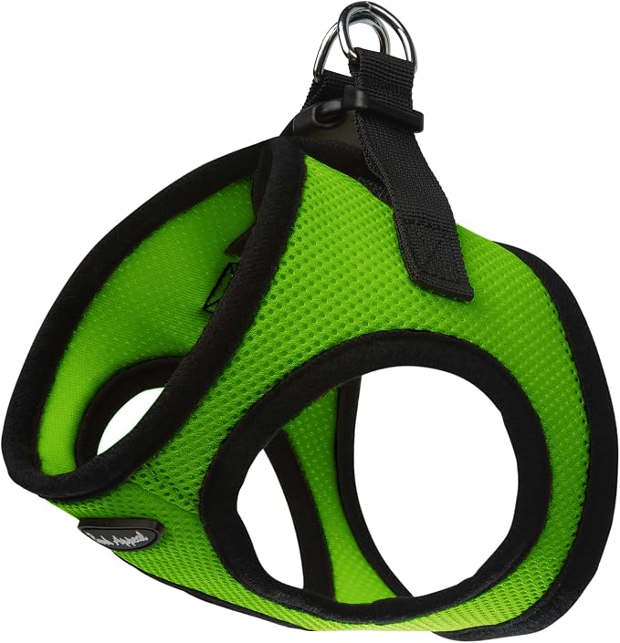Bark Appeal Lime Green Step-in Dog Harness for Small to Medium Sized Pets – Updated Sizing, Re-Measuring is Essential – Soft Vest Harness – Anti-Choke with Adjustable Strap & Heavy Duty Clip – M by BarkAppeal