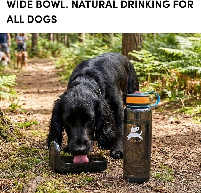 OllyDog OllyBottle Tritan Water Bottle with Detachable Dog Bowl | BPA Free Leakproof | 34oz | Share Water with Your Dog | Hiking Travel Camping (1L, Chromatic) - Image 4