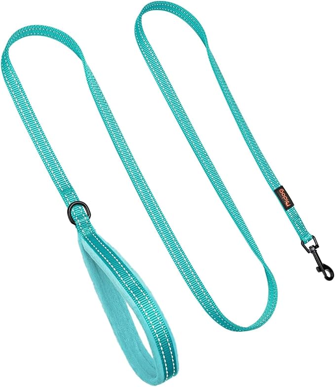 Didog 6FT Reflective Dog Leash for Small Medium Dogs, Slim 5/8" Width, Teal | Soft Padded Handle, Plush Comfort Grip, Tangle-Free, 360° Swivel Clasp for Daily Walking and Training, Night Safety - Image 4