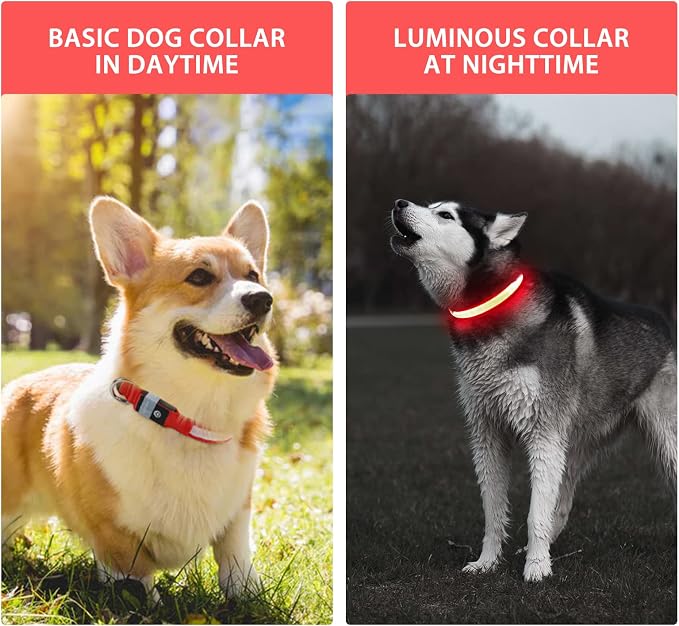 PcEoTllar Light up Dog Collar, Safe for Night Walking, Adjustable, Red, S | Colorful RGB Light, Waterproof, For Small Medium and Large Dogs, Durable Material, USB to Charge - Image 2