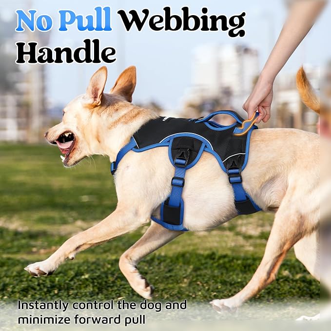 rabbitgoo Escape Proof Dog Harness for Medium, No Pull with Lift Handle | No Escape, Full Soft Padded, Reflective Adjustable Vest, Leash Clip for Walking Hiking Training, Blue & Black, Medium - Image 2