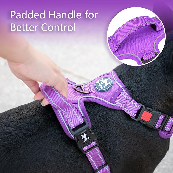 PoyPet No Pull Dog Harness, Reflective Vest with 2 Leash Clips & Handle | Lockable Neck Release Buckle, No Choke, Adjustable, Soft Padded, for Walking Training, Purple Matching Trim, Large - Image 5