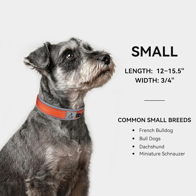Joytale Reflective Dog Collar for Small Dogs with Wide Padding, Orange | Soft Cushion Reduce Neck Strain, Night Safety Walking, Metal Buckle and Adjustable Eyelets, Separated Dog ID Tag Ring - Image 5