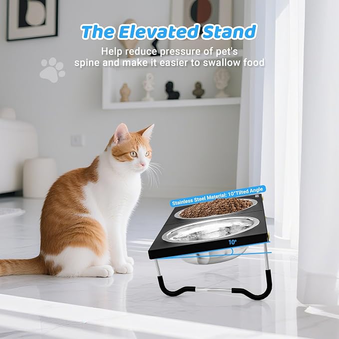Upgraded Elevated Cat Bowls,10°Tilted Foldable Stand Anti Vomiting Raised Cat Dishes for Food and Water,2 Stainless Steel Bowls for Cats and Puppy (2 Pack) - Image 2