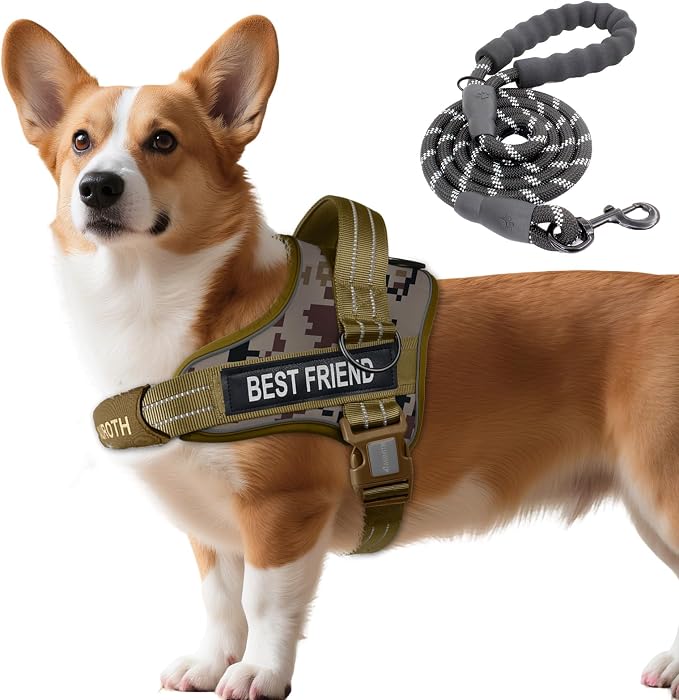 AUROTH Dog Harness and Leash Set Small Sized Dog, No Pull Escape Proof Vest | with Leash Clips, LED light clip, Breathable Mesh Padded No Choke, Easy Walking and Training, Desert Camo, Small by AurothPets
