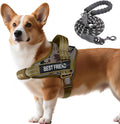 AUROTH Dog Harness and Leash Set Small Sized Dog, No Pull Escape Proof Vest | with Leash Clips, LED light clip, Breathable Mesh Padded No Choke, Easy Walking and Training, Desert Camo, Small by AurothPets