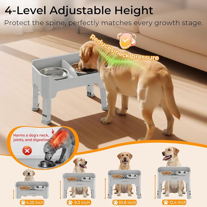 URPOWER Mess Proof Elevated Dog Bowls, Splash Guard Raised Bowl Stand | 4 Adjustable Heights, 2 Stainless Steel Bowls, Food & Water Separation, Foldable Design Non-Slip for Small Medium Large Dogs - Image 6