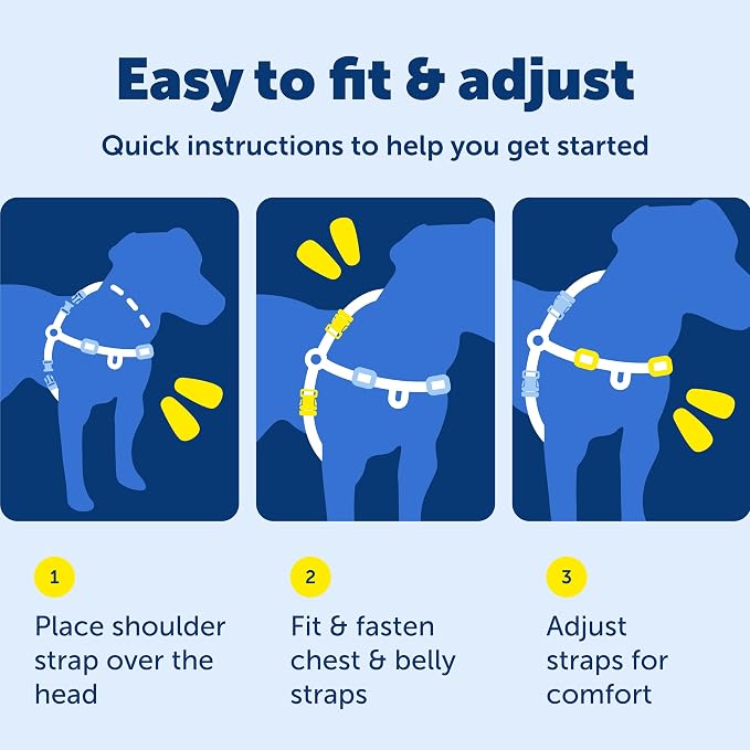 PetSafe Easy Walk Deluxe Dog Harness, No Pull Dog Harness – Perfect for Leash & Harness Training – Stops Pets from Pulling and Choking on Walks – Medium, Ocean - Image 8