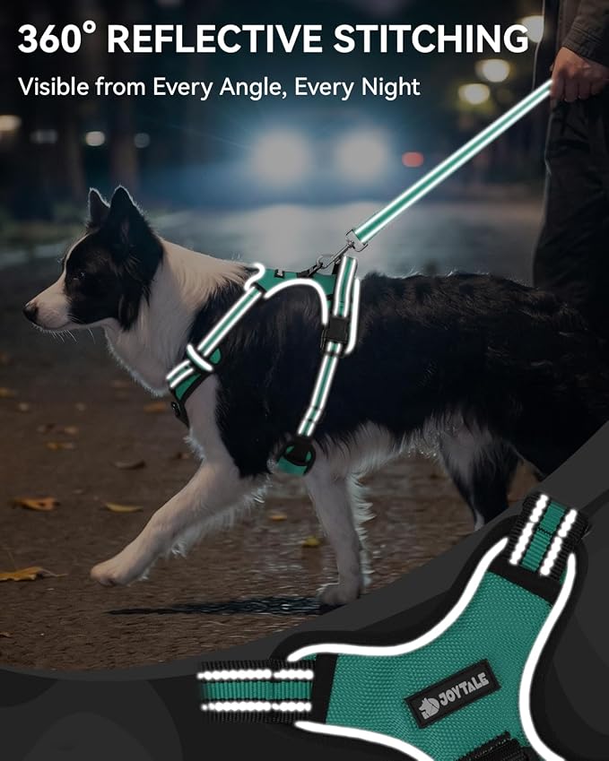 Joytale No Pull Dog Harness & Seat Belt, Easy On 3-Buckle, M, Teal | Front Clip Reduces Pulling, Escape-Resistant Design, Adjustable Fit, Soft Padding for Comfort, Secure Tether for Safer Travel - Image 6