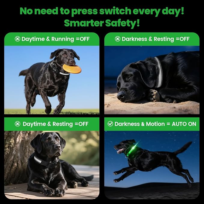 Auto Light Up Dog Collar - Smart Safety Night Collar with Motion Sensor - Auto-On in Dark - USB-C Rechargeable - 3 Day Runtime- IP65 Waterproof (M 15-20“) - Image 3