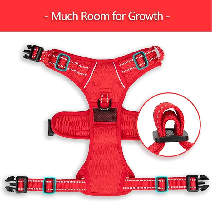 PoyPet No Pull Dog Harness, Reflective Vest with 2 Leash Clips & Handle | Lockable Neck Release Buckle, No Choke, Adjustable, Soft Padded, for Walking Training, Red Matching Trim, X-Small - Image 6