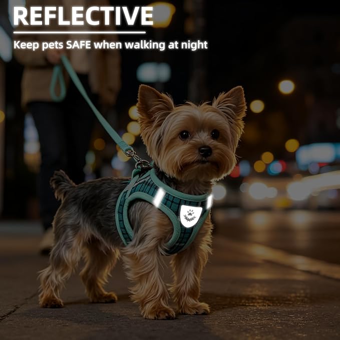 PUPTECK Dog Harness, Collar and Leash Set No Pull for Small Medium Sized | Plaid Puppy Step-in Escape Proof Reflective No Choke Pet Cat Adjustable Walking Vest - Image 7