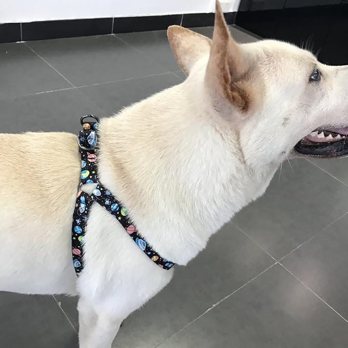 Dog Harness Leash Set Adjustable Heavy Duty No Pull Halter Harnesses for Small Medium Large Breed Dogs Back Clip Anti-Twist Perfect for Walking (XS(12"-18" Chest Girth), Space) - Image 7
